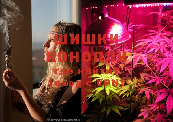 каннабис Алзамай