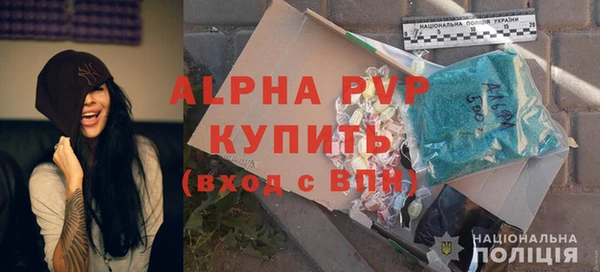 шишки Алексин
