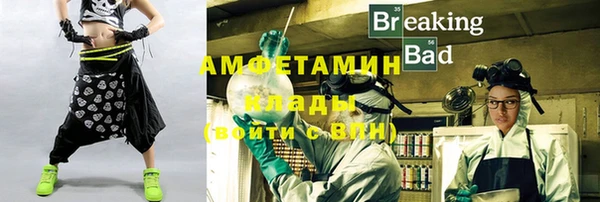 шишки Алексин