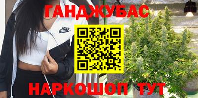 молекула духа Славянск-на-Кубани
