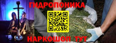 гашик Сланцы