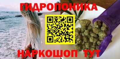 молекула духа Славянск-на-Кубани