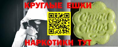 гашик Сланцы
