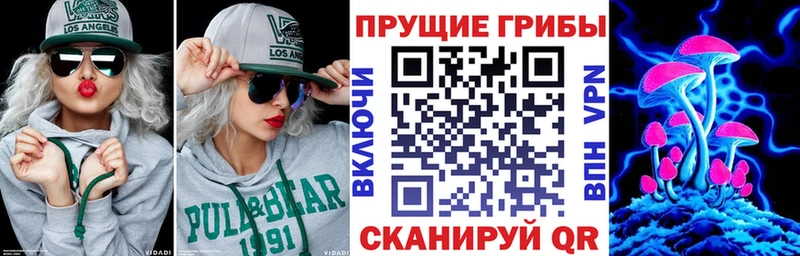 Галлюциногенные грибы Psilocybe Полысаево