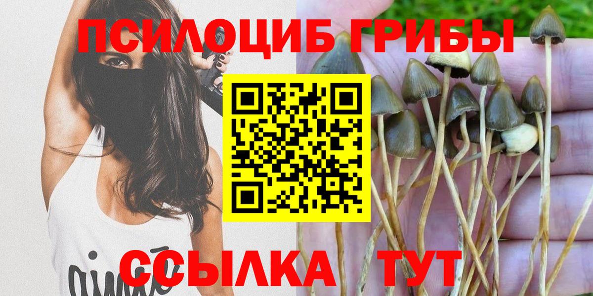цены наркотик  Вход с VPN  Полысаево  Псилоцибиновые грибы GOLDEN TEACHER 